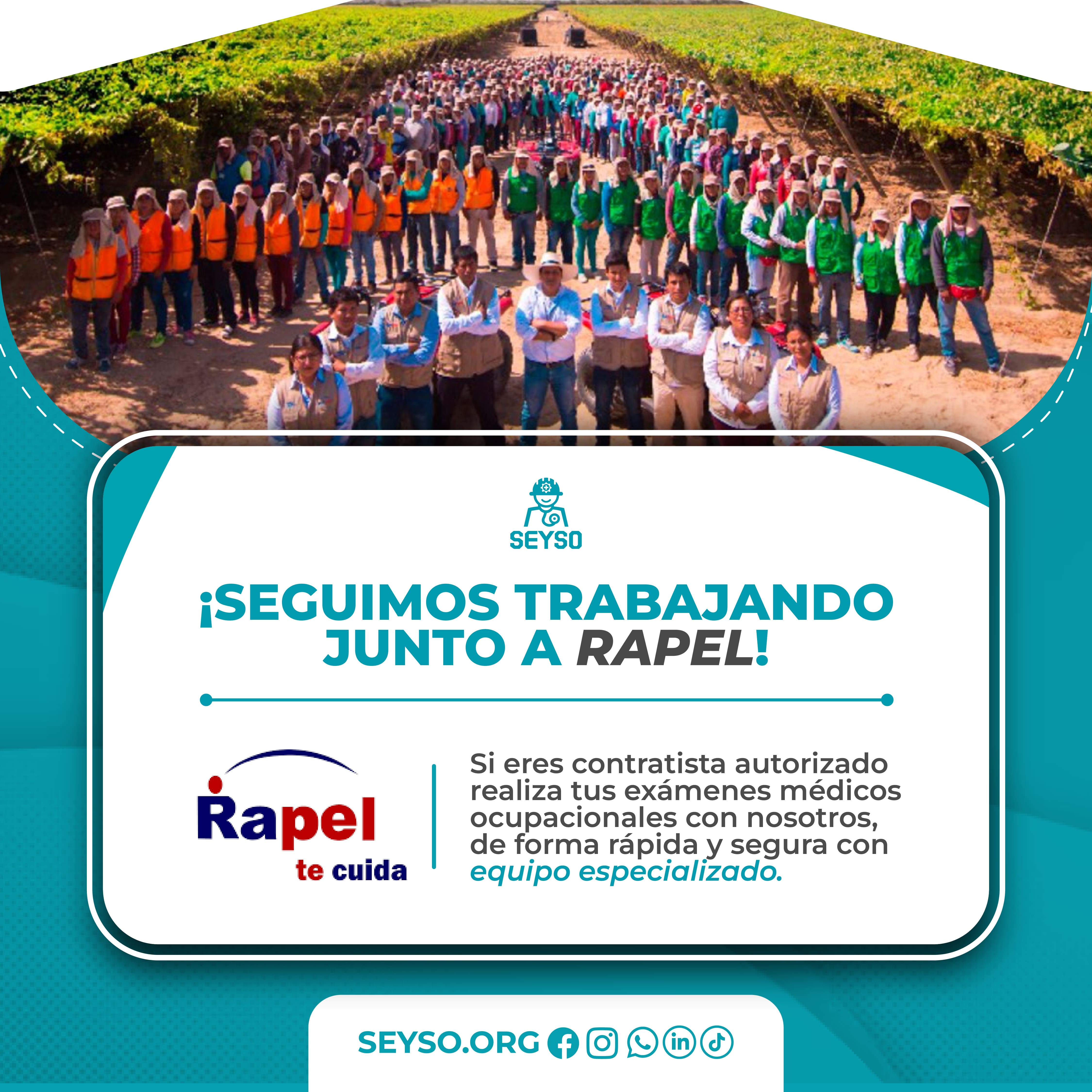 Homologación Homologados con RAPEL — SEYSO