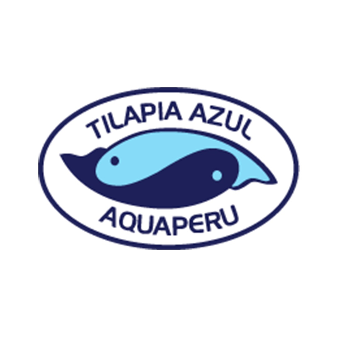 TILAPIA AZUL - cliente SEYSO