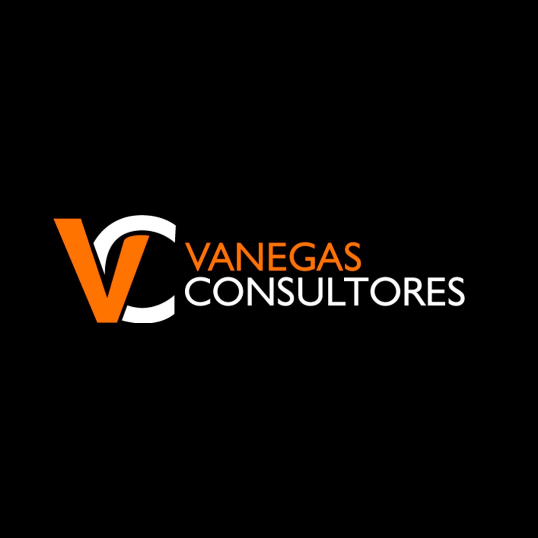 VANEGAS CONSULTORES - cliente SEYSO